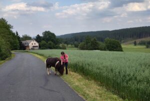 Tiergestützte Arbeit bei Verletur - ein Mädchen mit einem Shetlandpony während einer Selbstwirksamkeitsübung