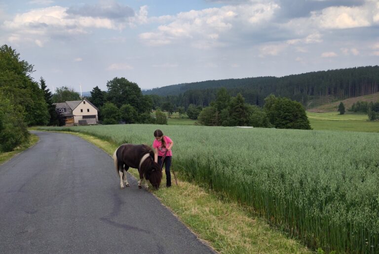 Tiergestützte Arbeit bei Verletur - ein Mädchen mit einem Shetlandpony während einer Selbstwirksamkeitsübung
