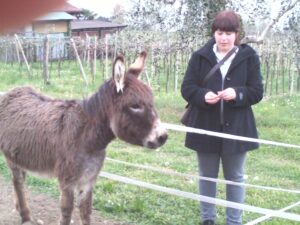 Verletur - eine Frau mit einem Esel