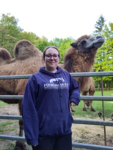 Tiertraining bei Verletur - ein Altweltkamel und eine Frau