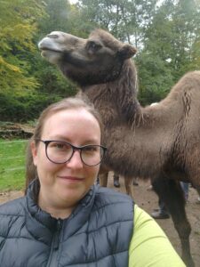 Tiertraining bei Verletur - ein Altweltkamel und eine Frau